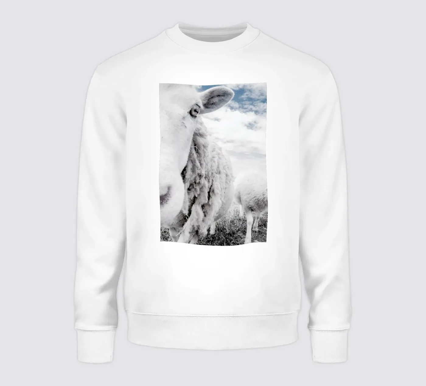 Sheeps felpa da Victoria Frost