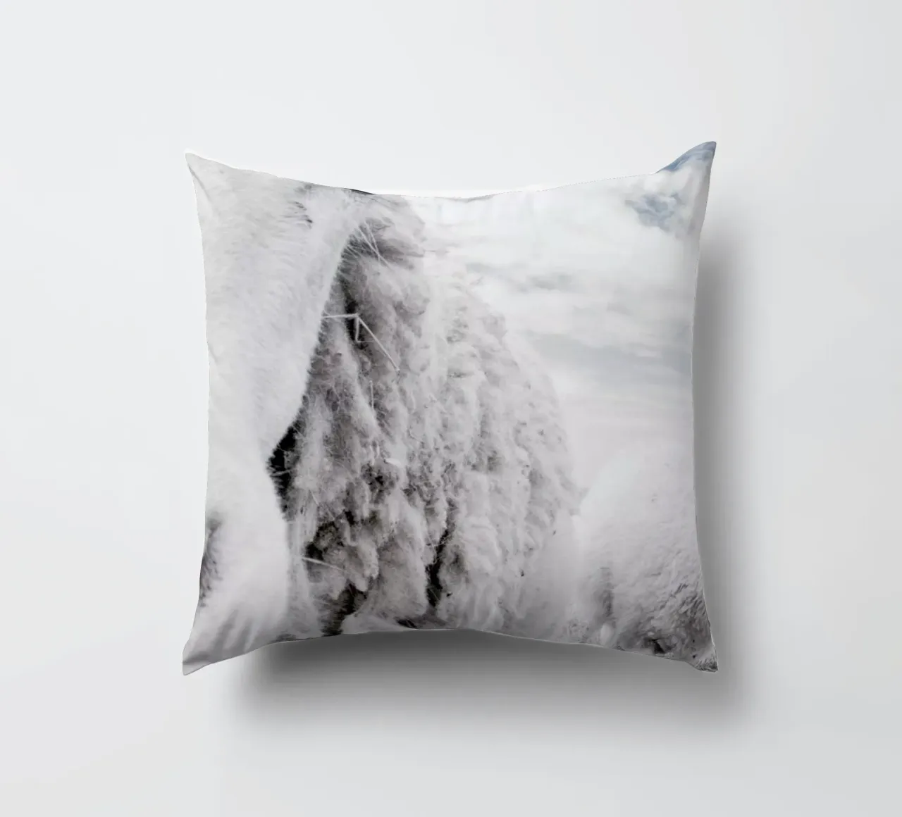 Sheeps cuscino da Victoria Frost