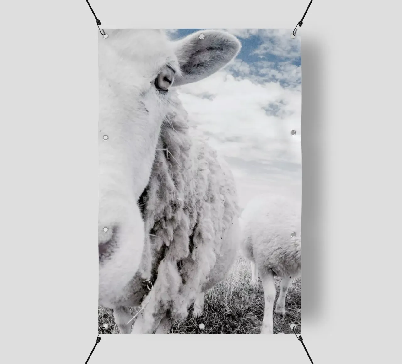 Sheeps telo in pvc da Victoria Frost