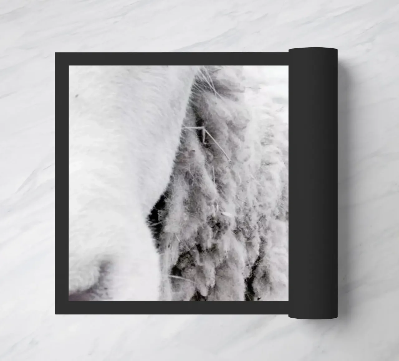 Sheeps zerbino da Victoria Frost