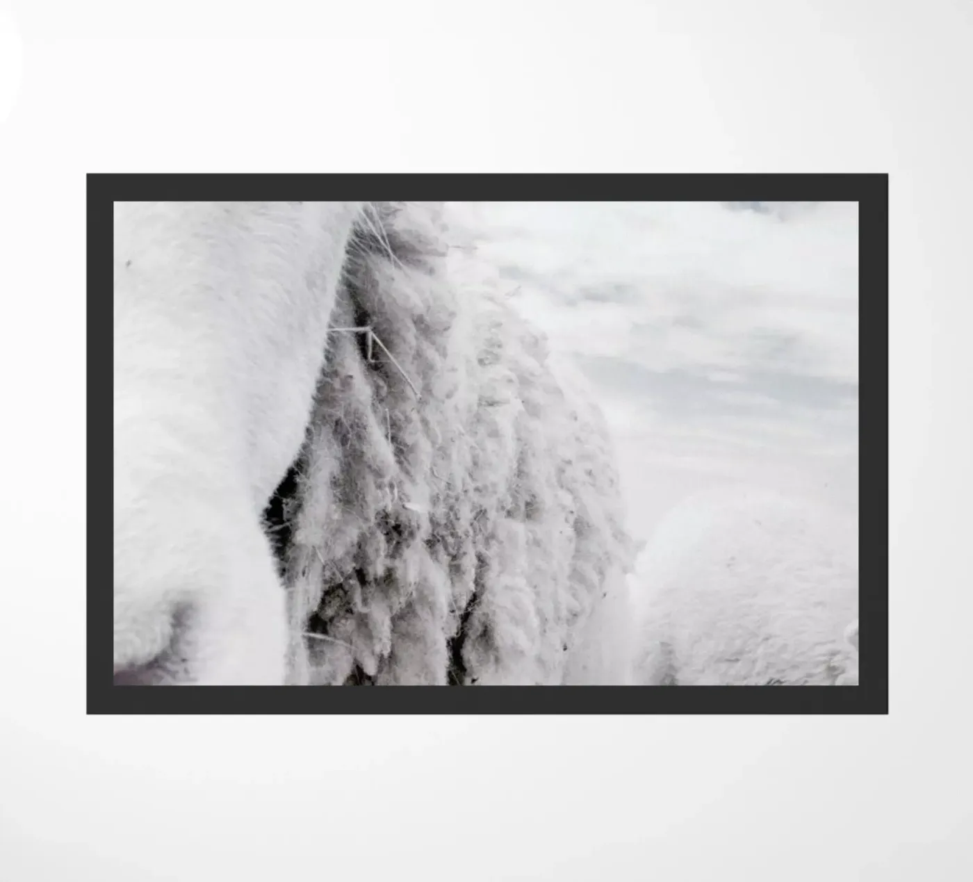 Sheeps doormat by Victoria Frost