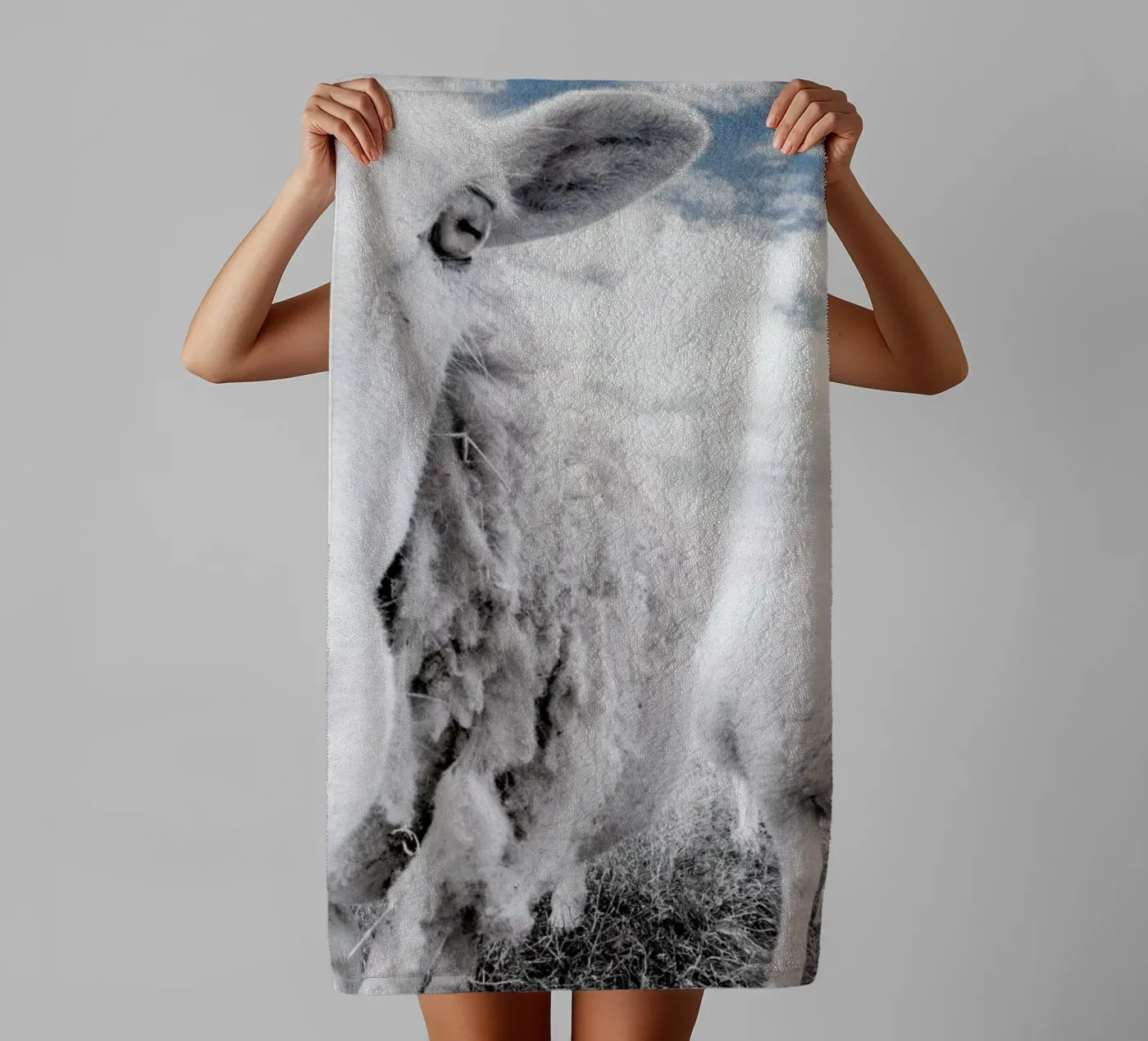 Sheeps towel by Victoria Frost