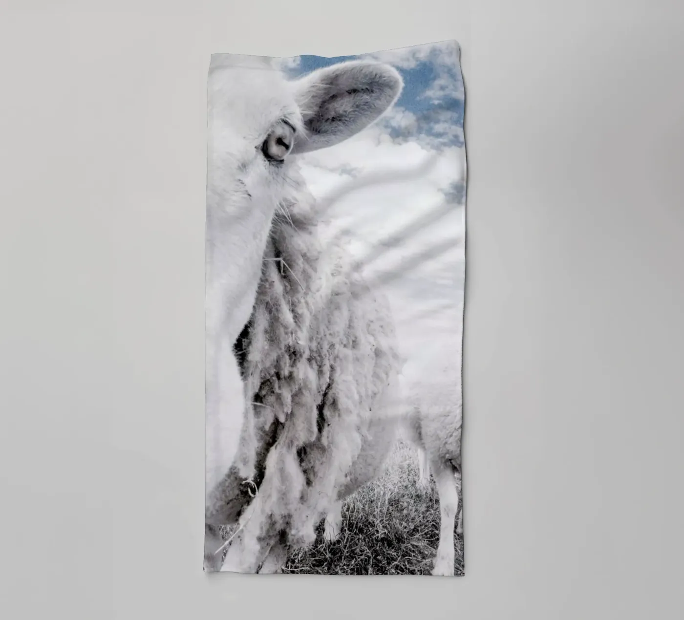 Sheeps towel by Victoria Frost