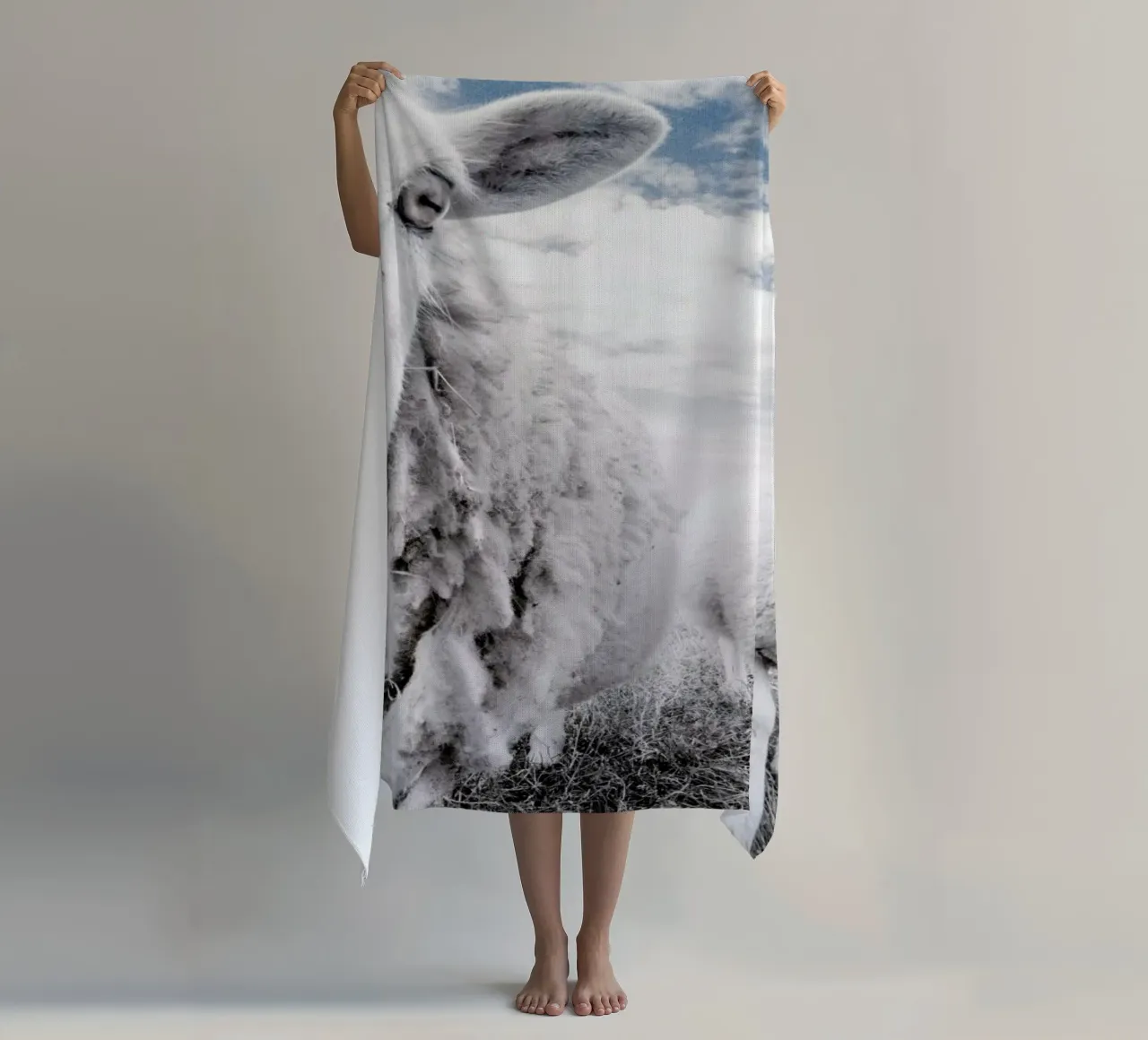 Sheeps telo mare da Victoria Frost