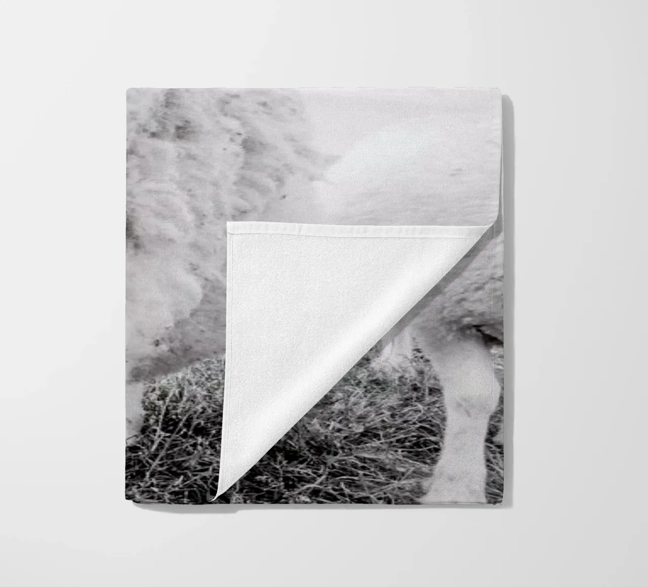 Sheeps telo mare da Victoria Frost