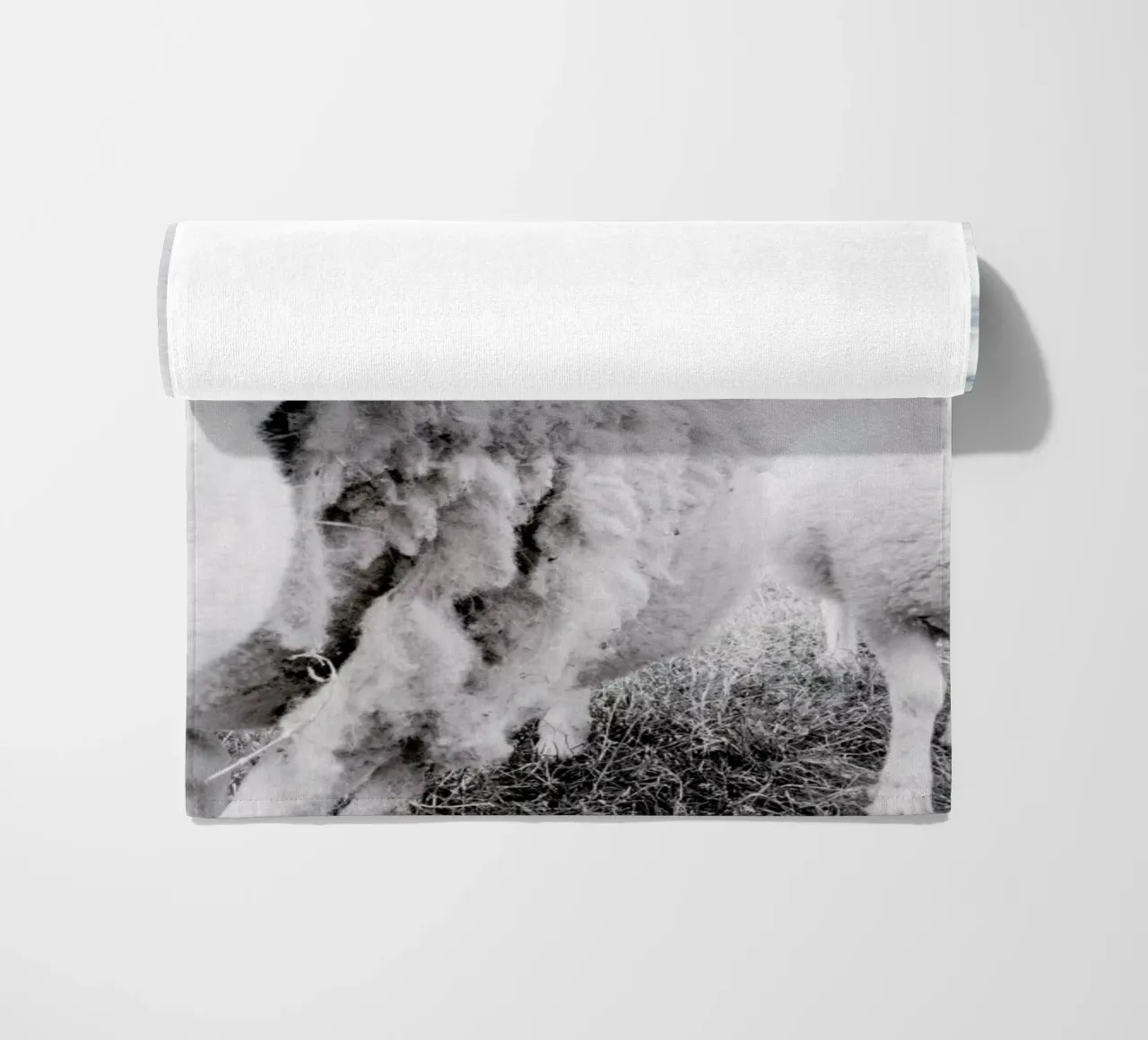 Sheeps telo mare da Victoria Frost