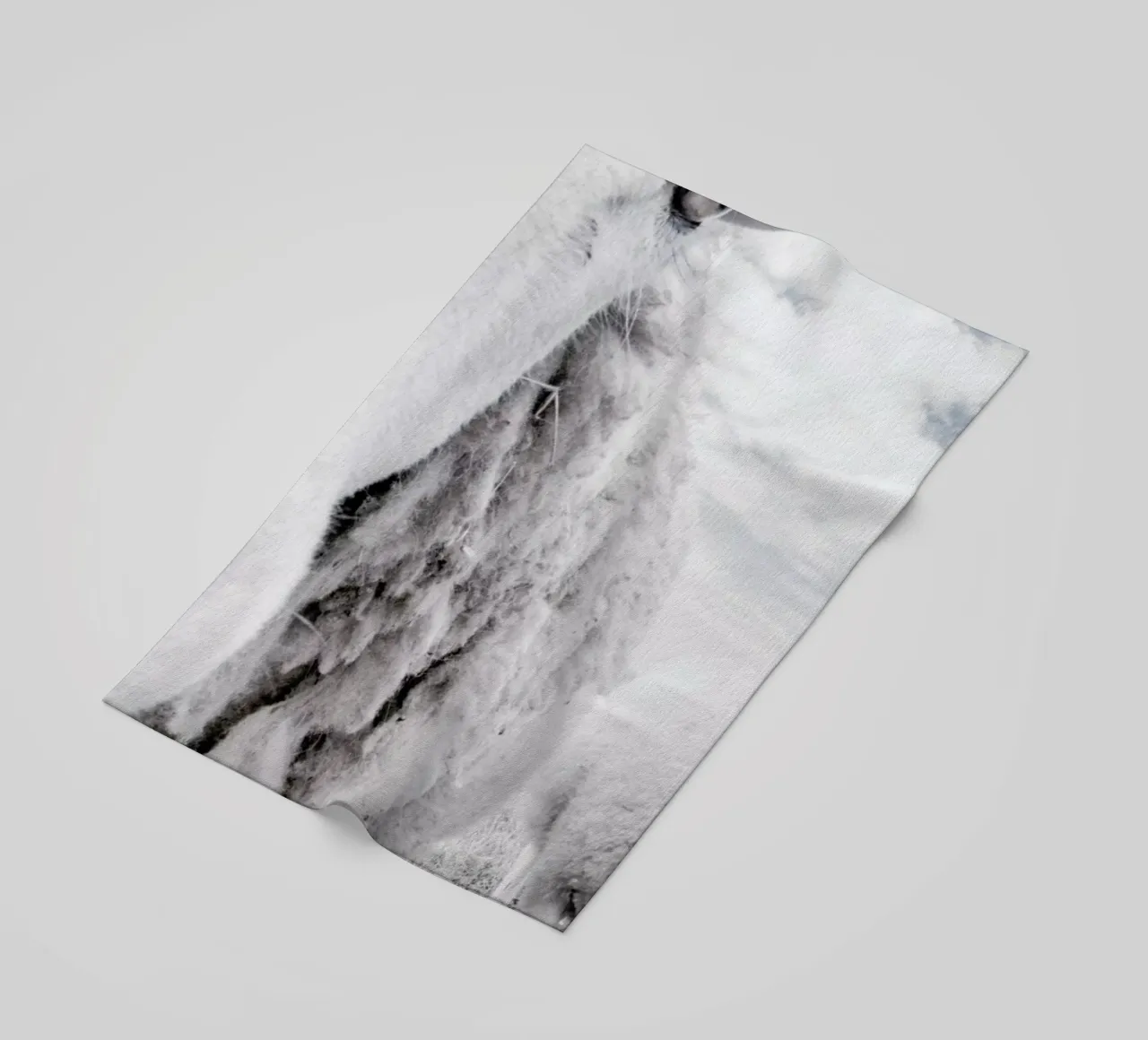 Sheeps telo mare da Victoria Frost