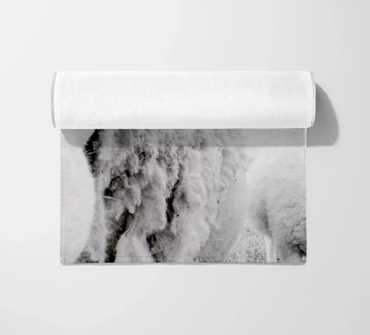 Sheeps telo mare da Victoria Frost