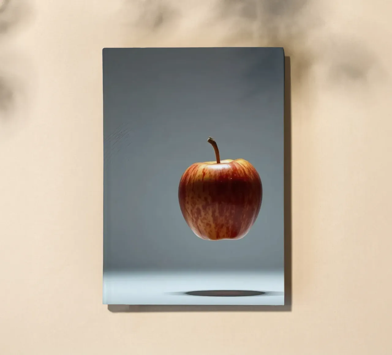 Legge di Newton diario da DesignDoodle