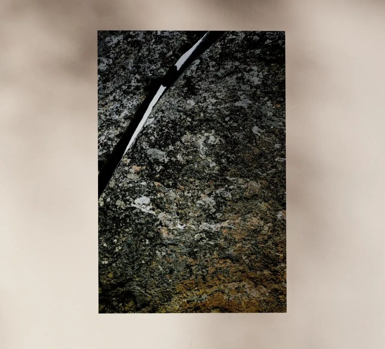 Squeeze pellicola backlit da Shot By Clint