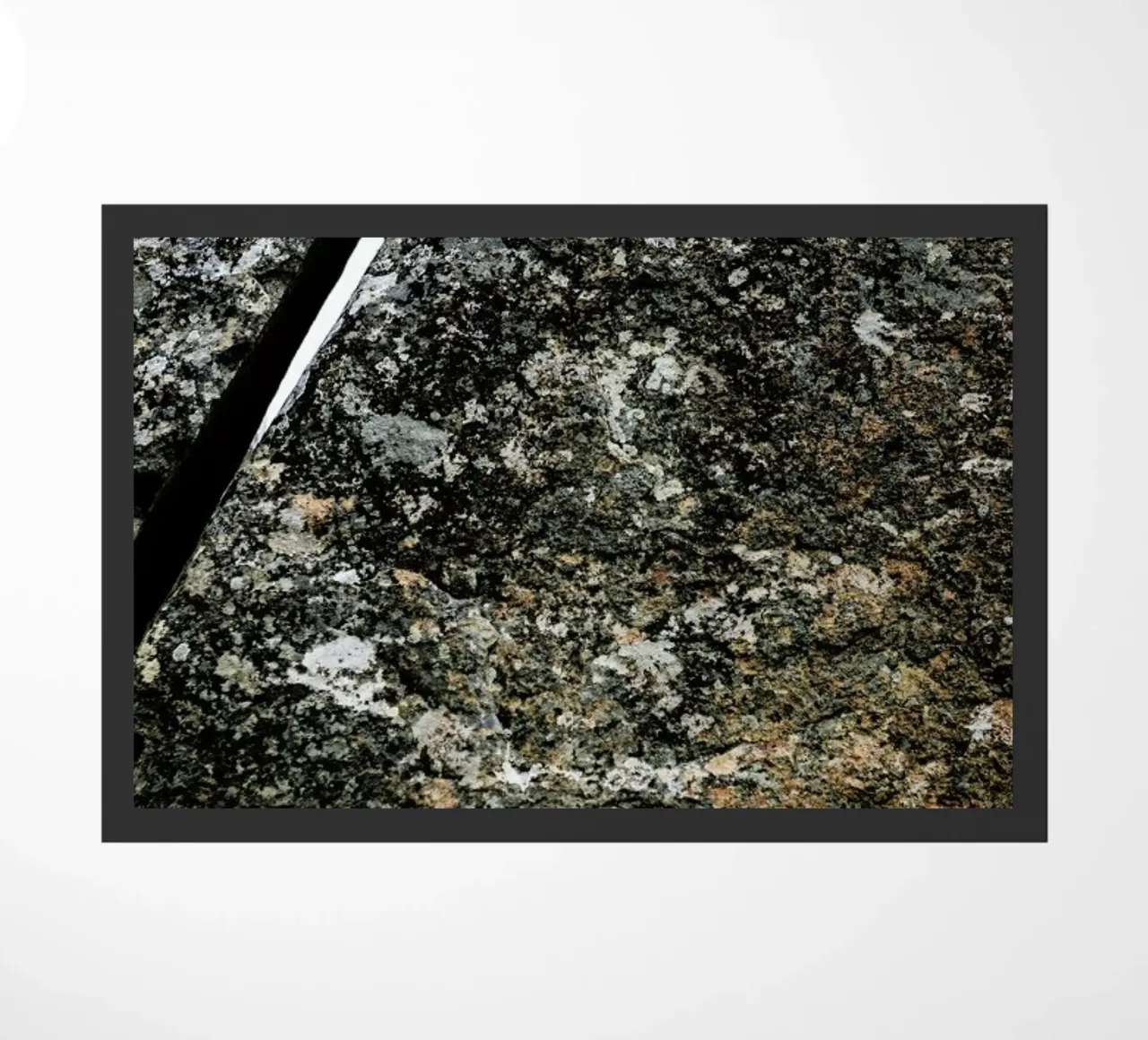 Squeeze zerbino da Shot By Clint