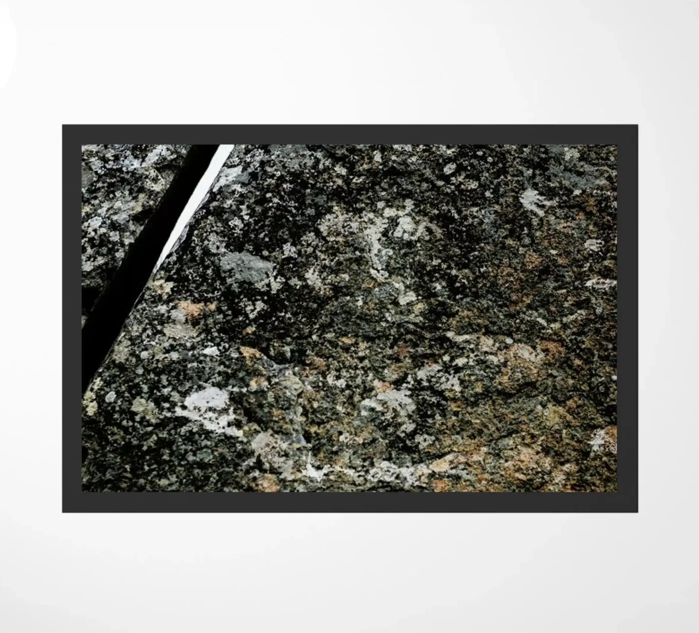 Squeeze zerbino da Shot By Clint