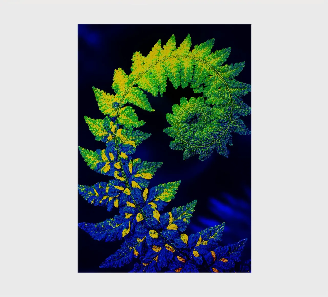 Felce - Pop Art diario da ColorCrash Gallery