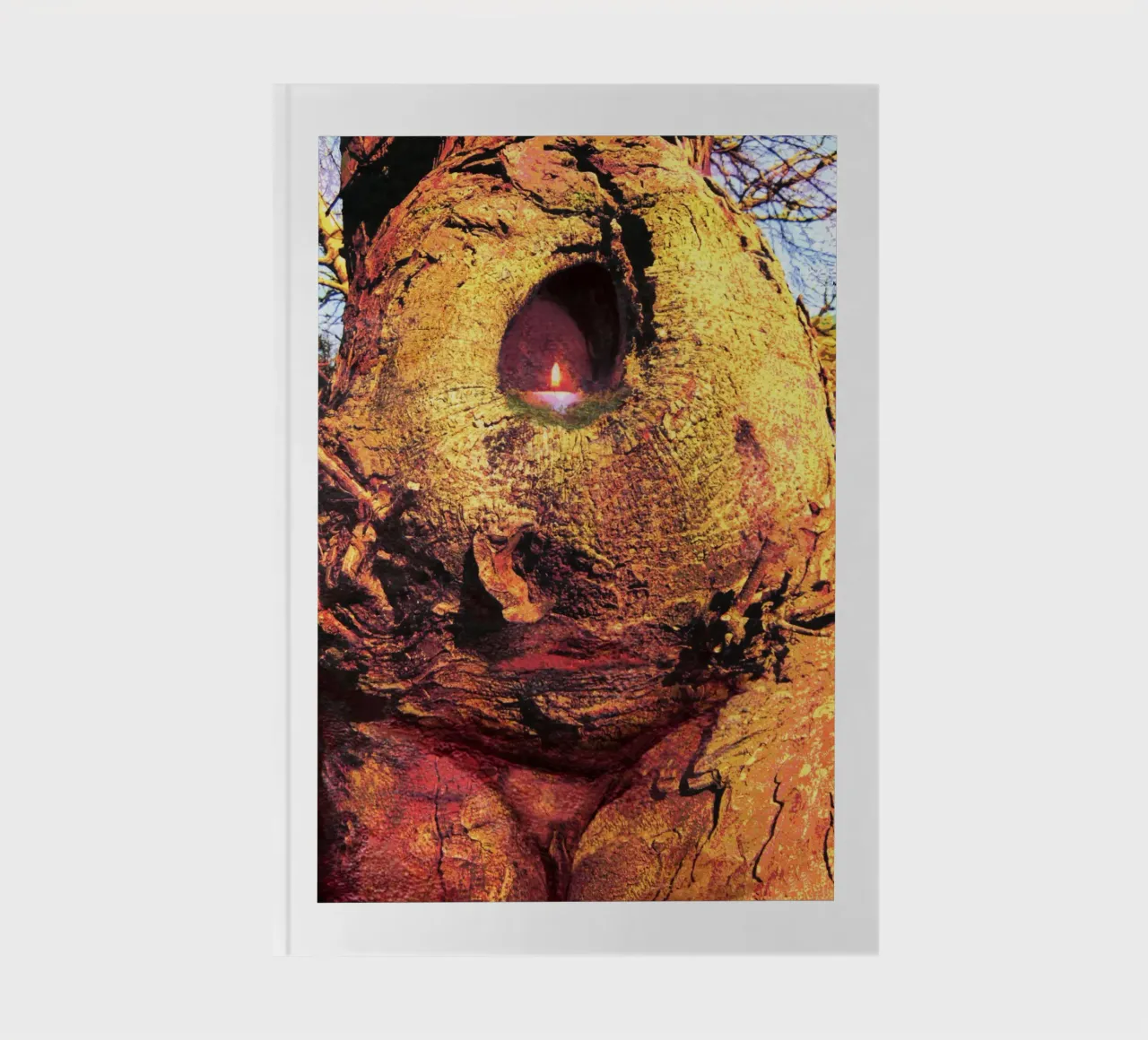 Goddess in the landscape 1 notebook by goddess art