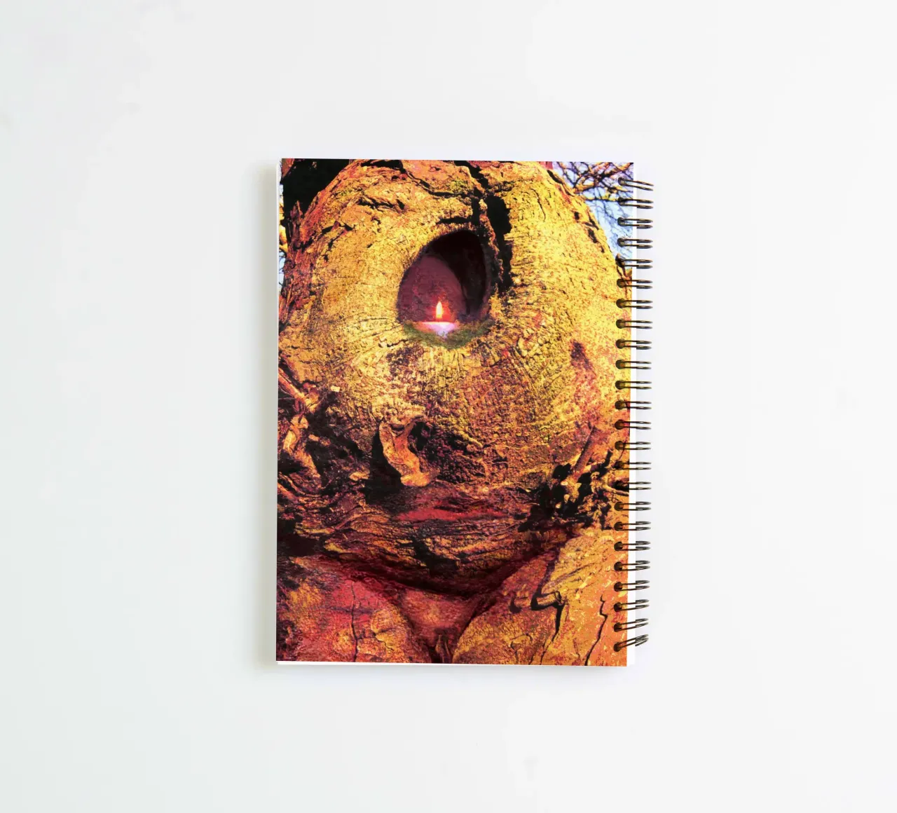 Goddess in the landscape 1 spiral notebook by goddess art