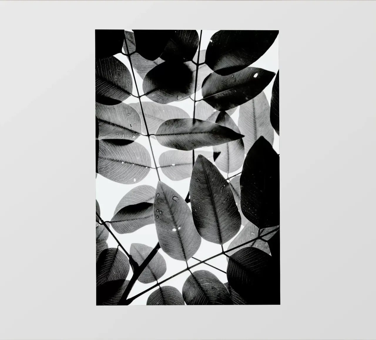 Experiments with Leaves II pvc-zeil van Tal Paz-Fridman