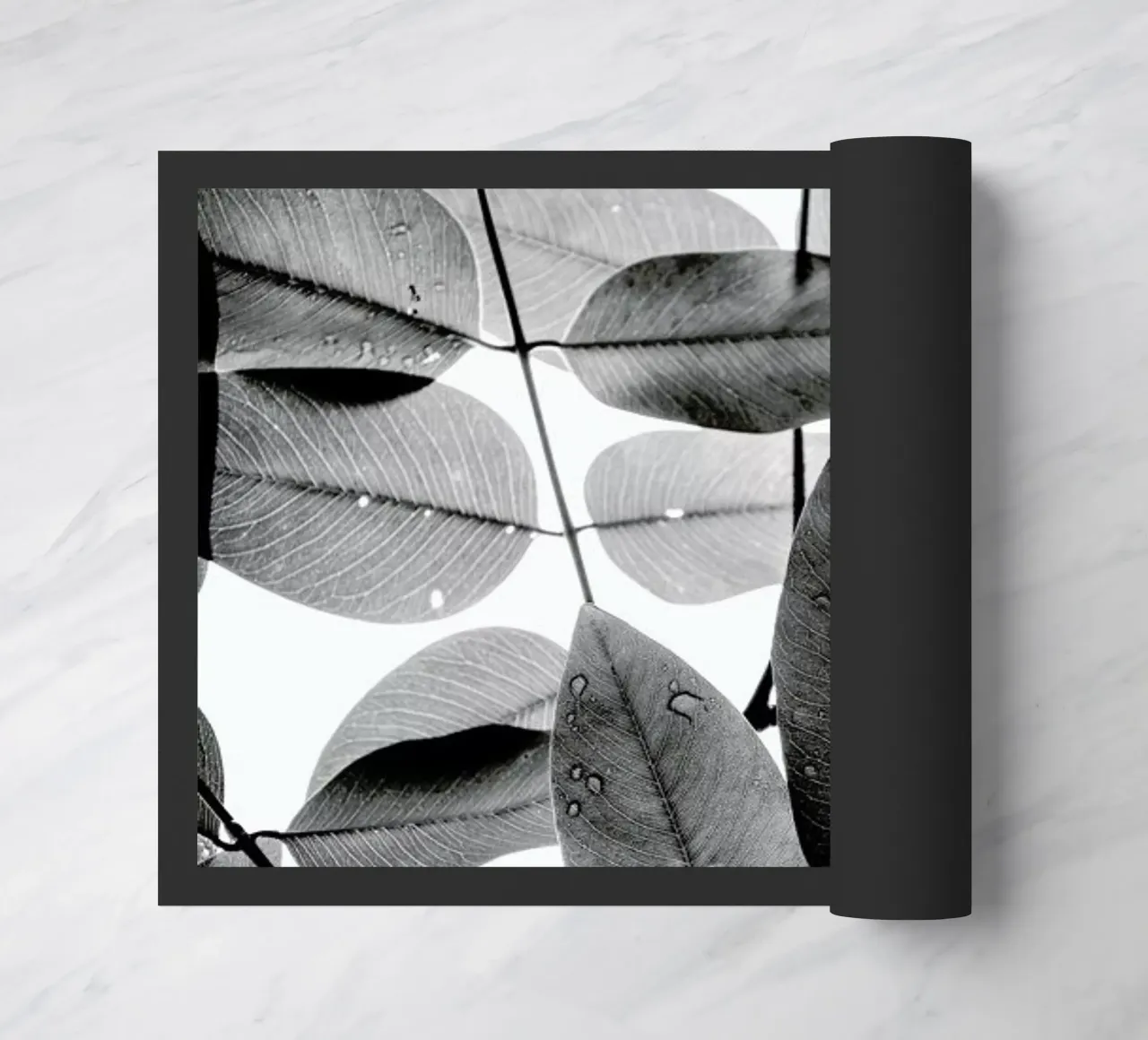 Experiments with Leaves II zerbino da Tal Paz-Fridman