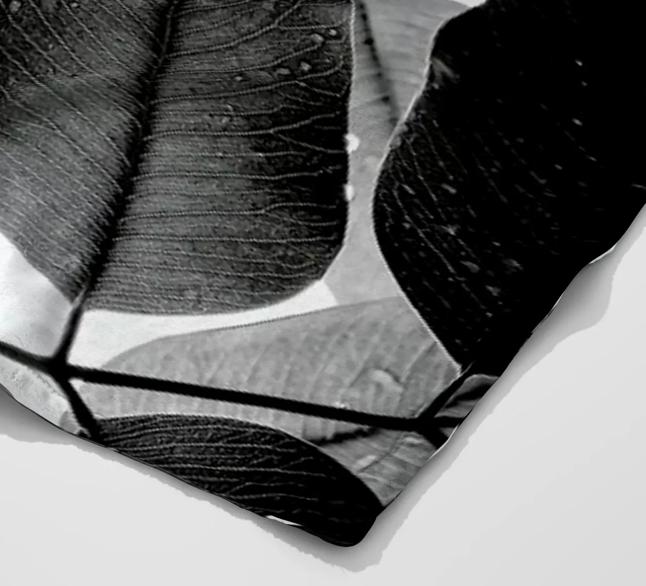 Experiments with Leaves II coperta in pile da Tal Paz-Fridman