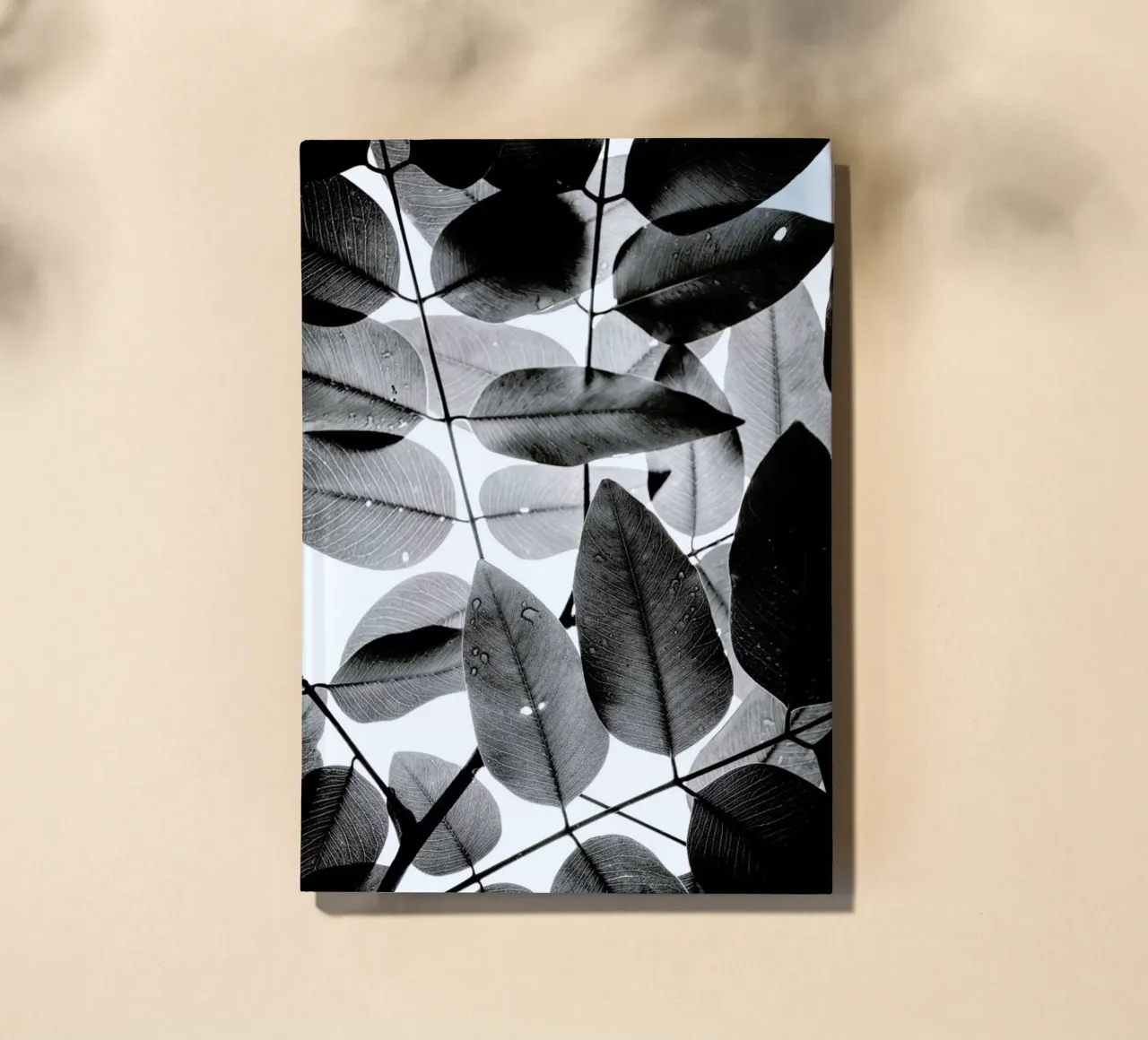 Experiments with Leaves II notebook by Tal Paz-Fridman