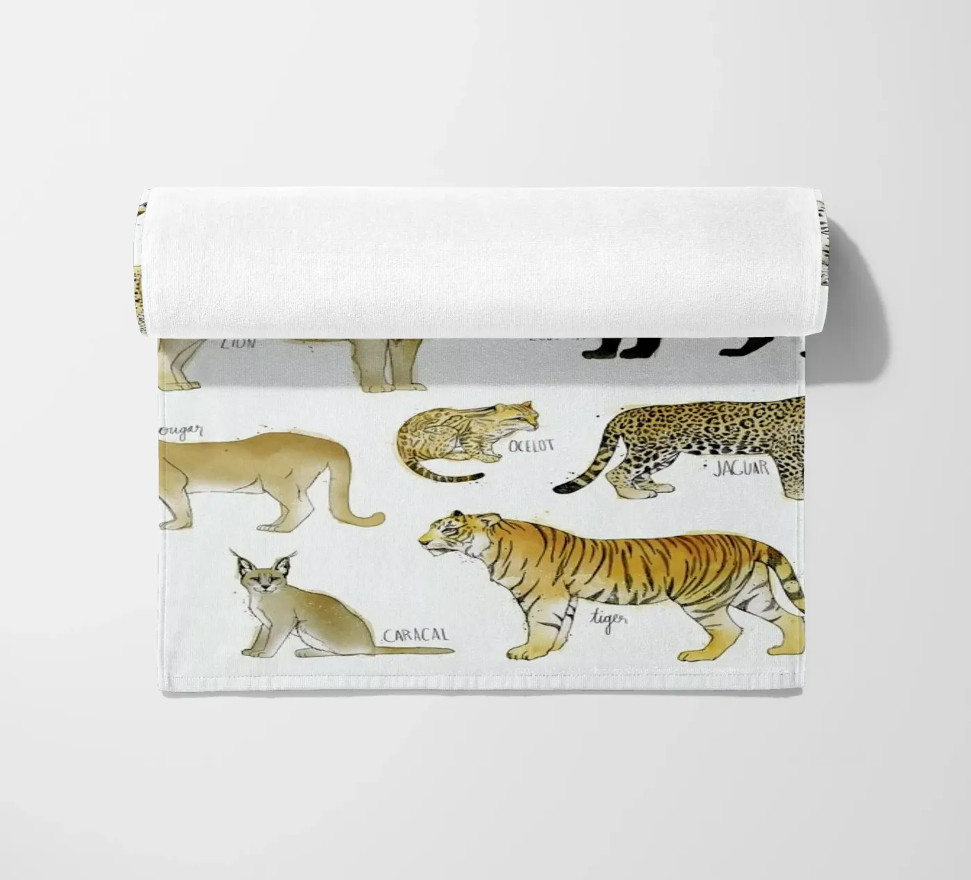 Wild Cats telo mare da Amy Hamilton