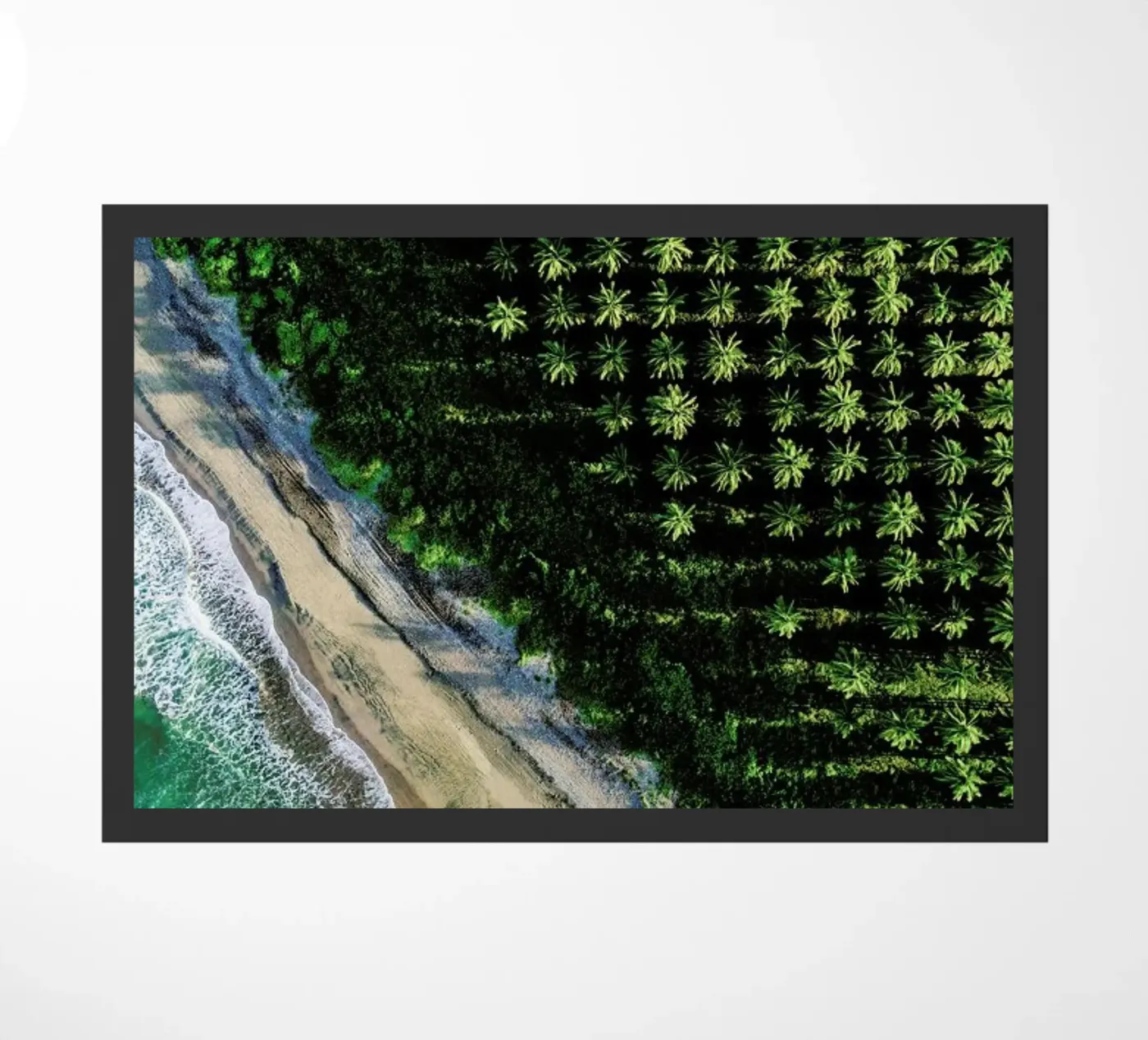 Amanecer zerbino da ROBERTO H