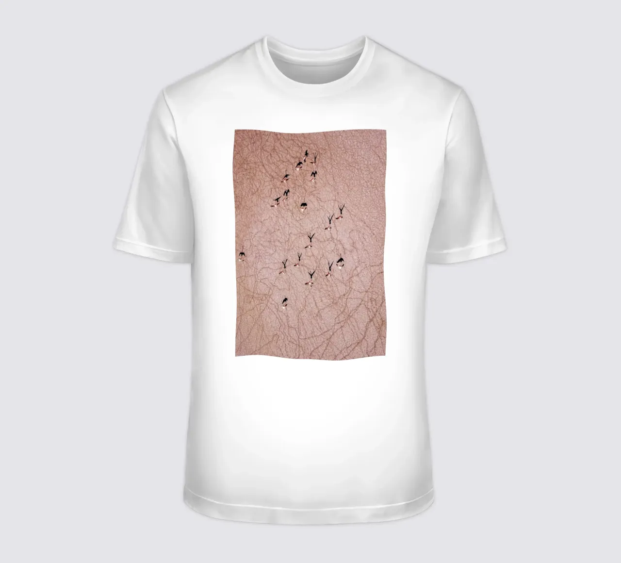 Flamingo t-shirt da ROBERTO H