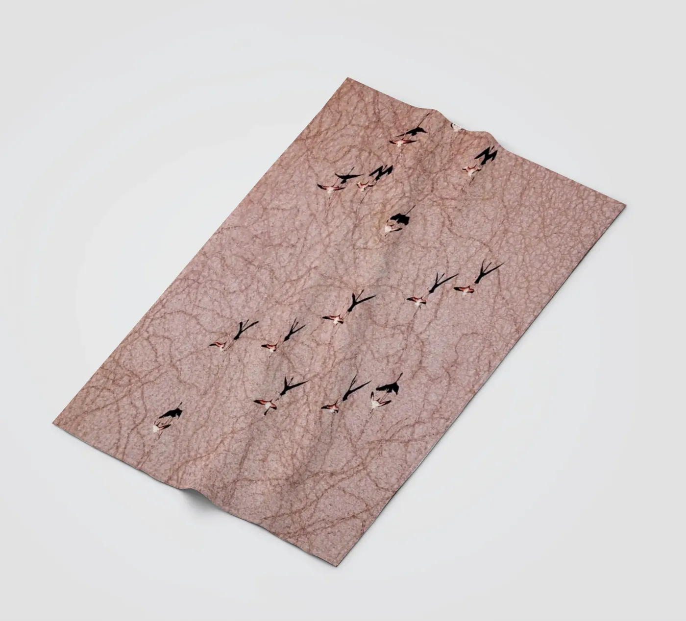 Flamingo coperta in pile da ROBERTO H
