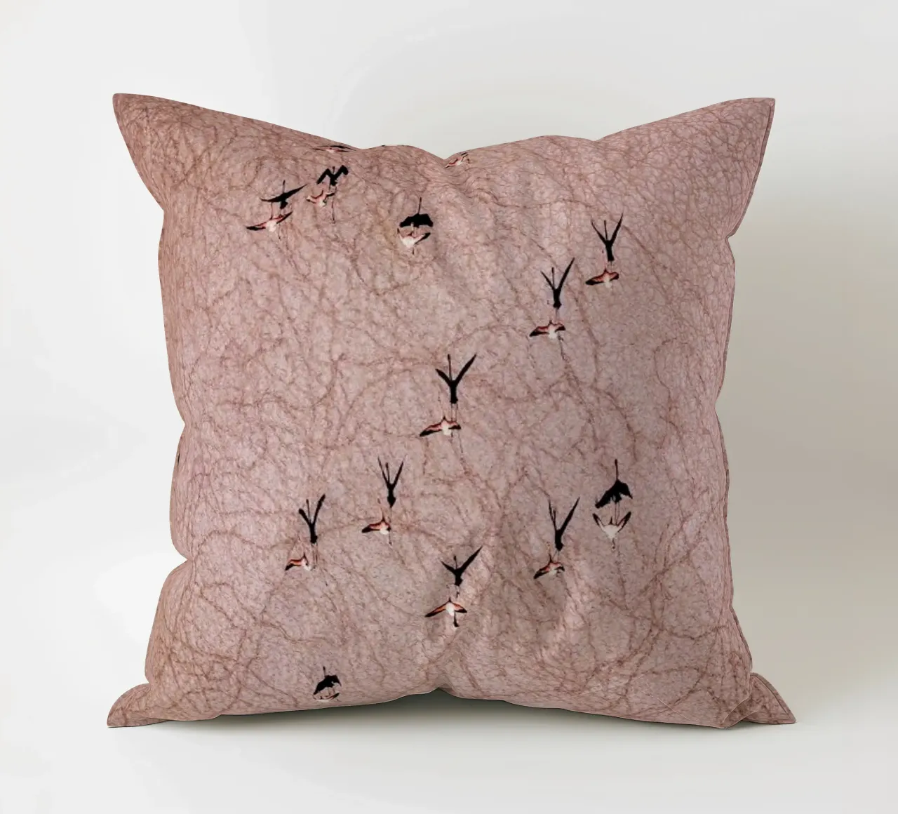 Flamingo cuscino da ROBERTO H