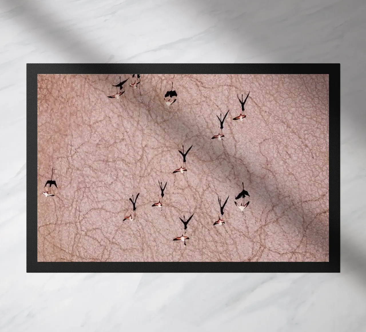 Flamingo zerbino da ROBERTO H