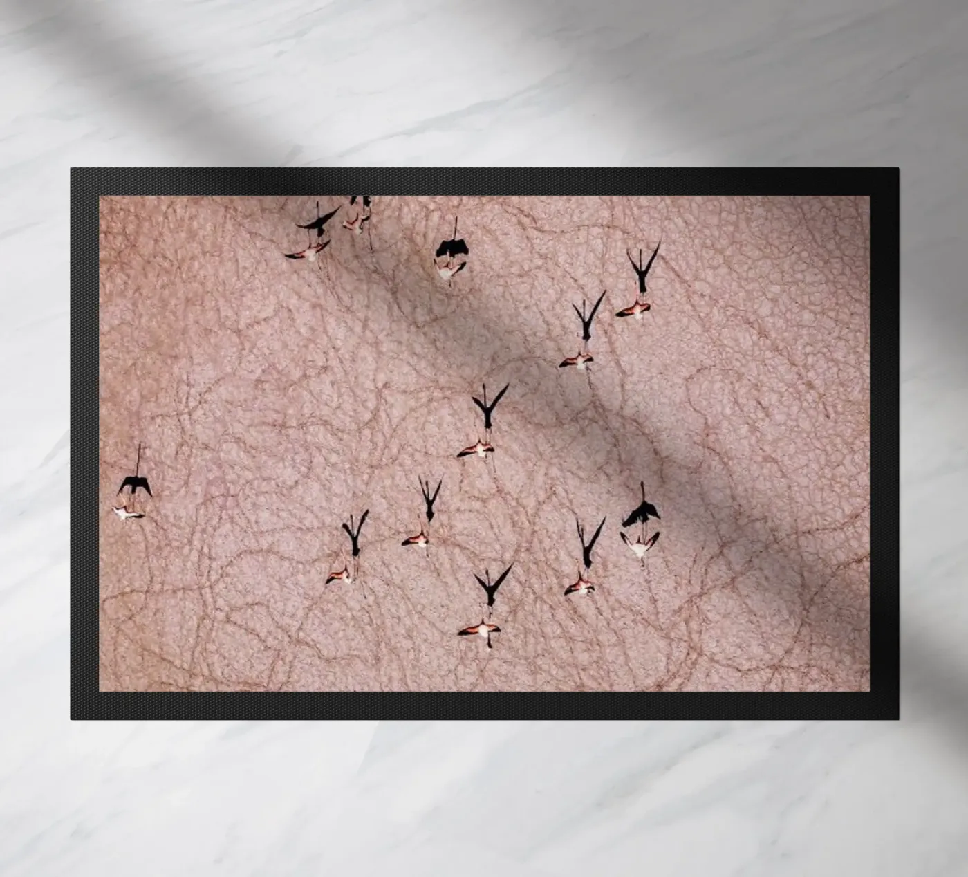 Flamingo doormat by ROBERTO H