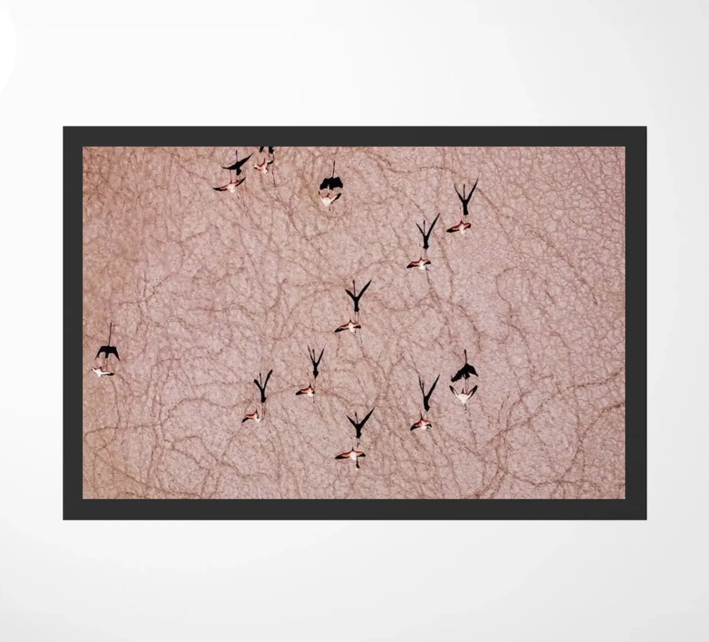 Flamingo doormat by ROBERTO H