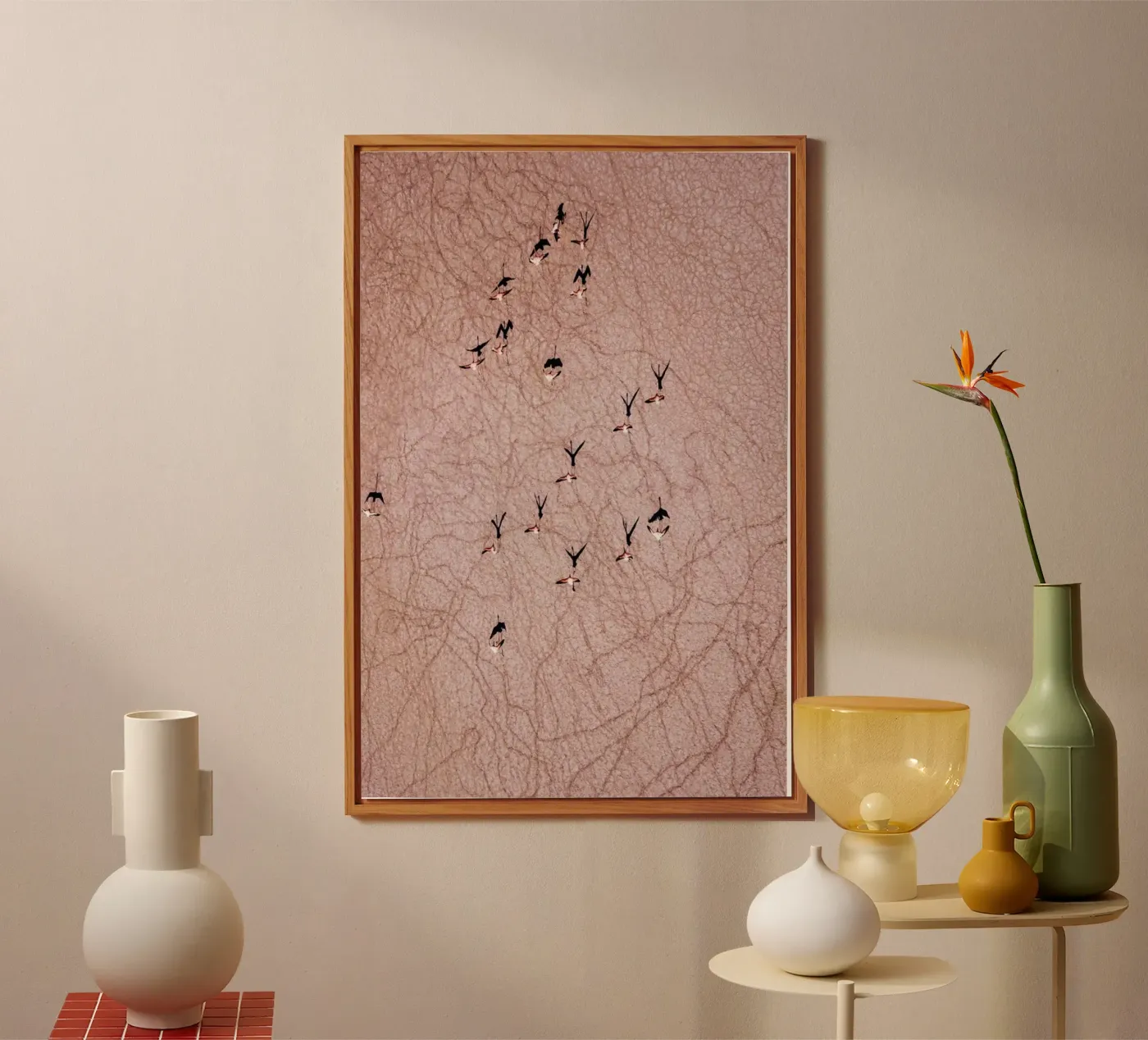 Flamingo forex plate by ROBERTO H
