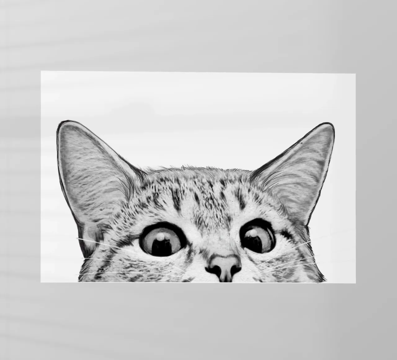 Cat pellicola backlit da Laura Graves