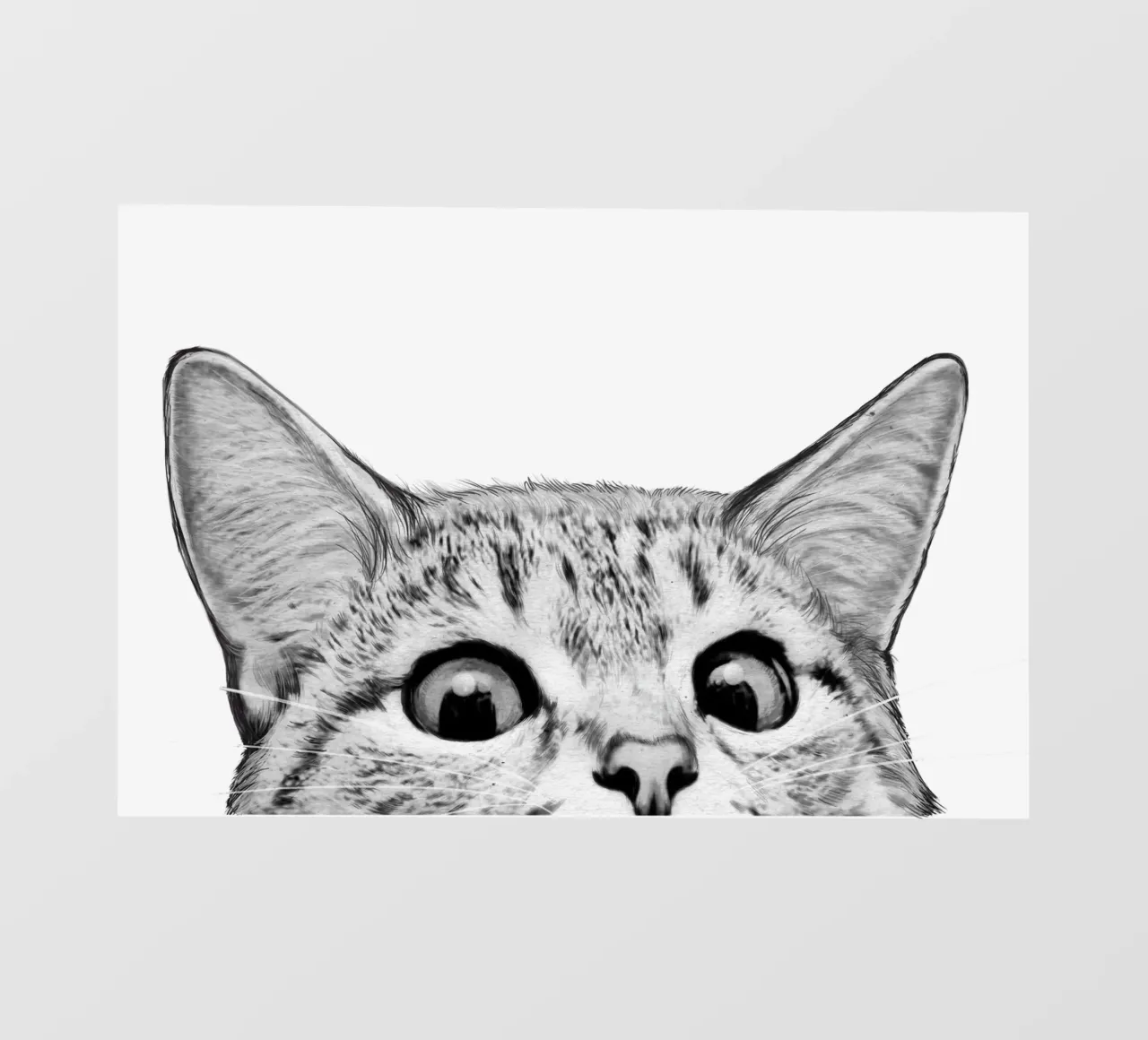 Cat pellicola backlit da Laura Graves