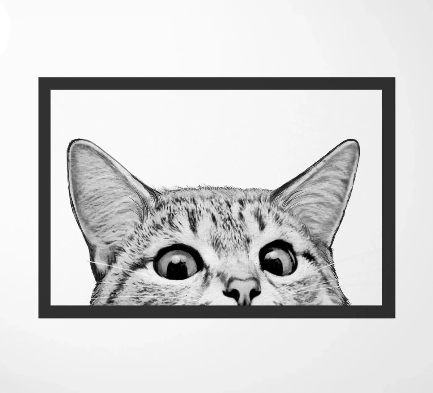 Cat zerbino da Laura Graves