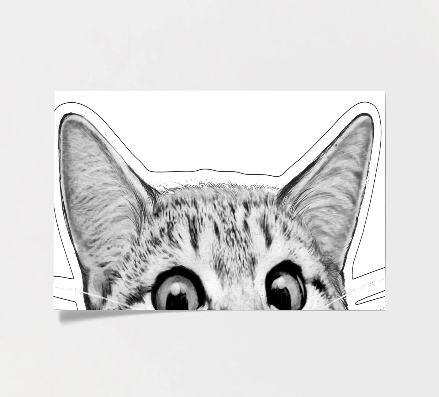 Cat sticker sheet by Laura Graves