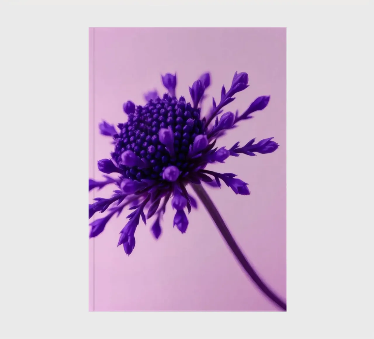 Purple flower stands against a soft pink background notebook by DesignDoodle
