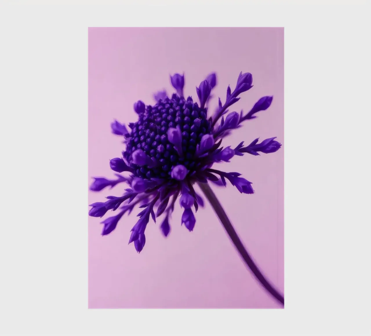 Purple flower stands against a soft pink background notebook by DesignDoodle