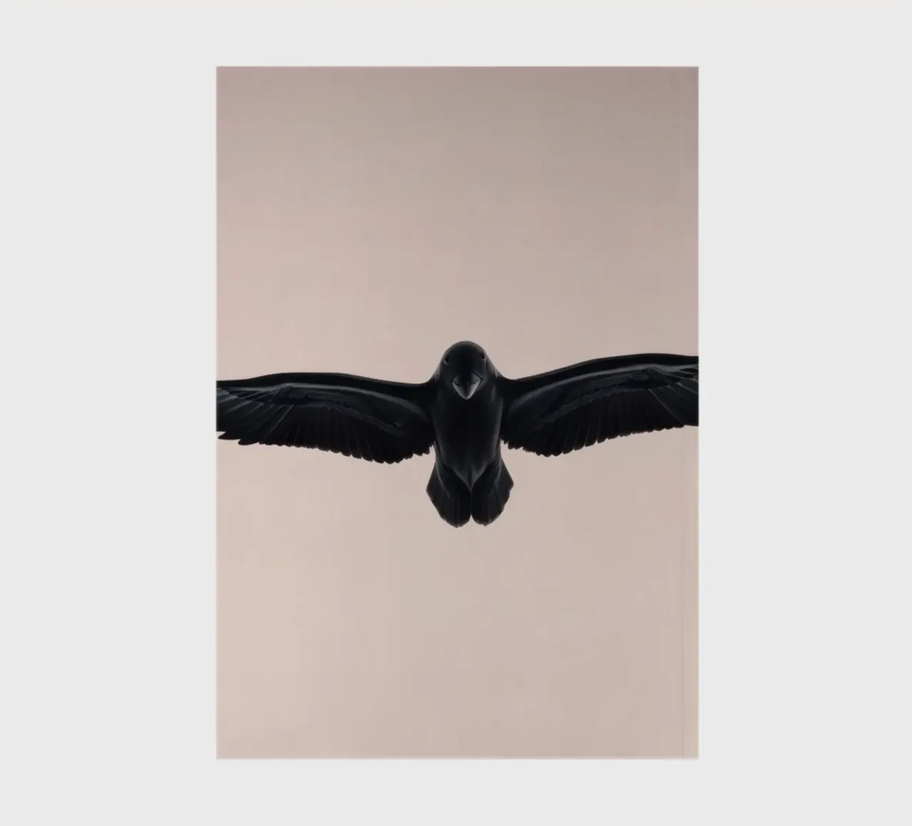 Majestueux oiseau noir s'élevant dans un ciel doux et pastel carnet de notes de DesignDoodle