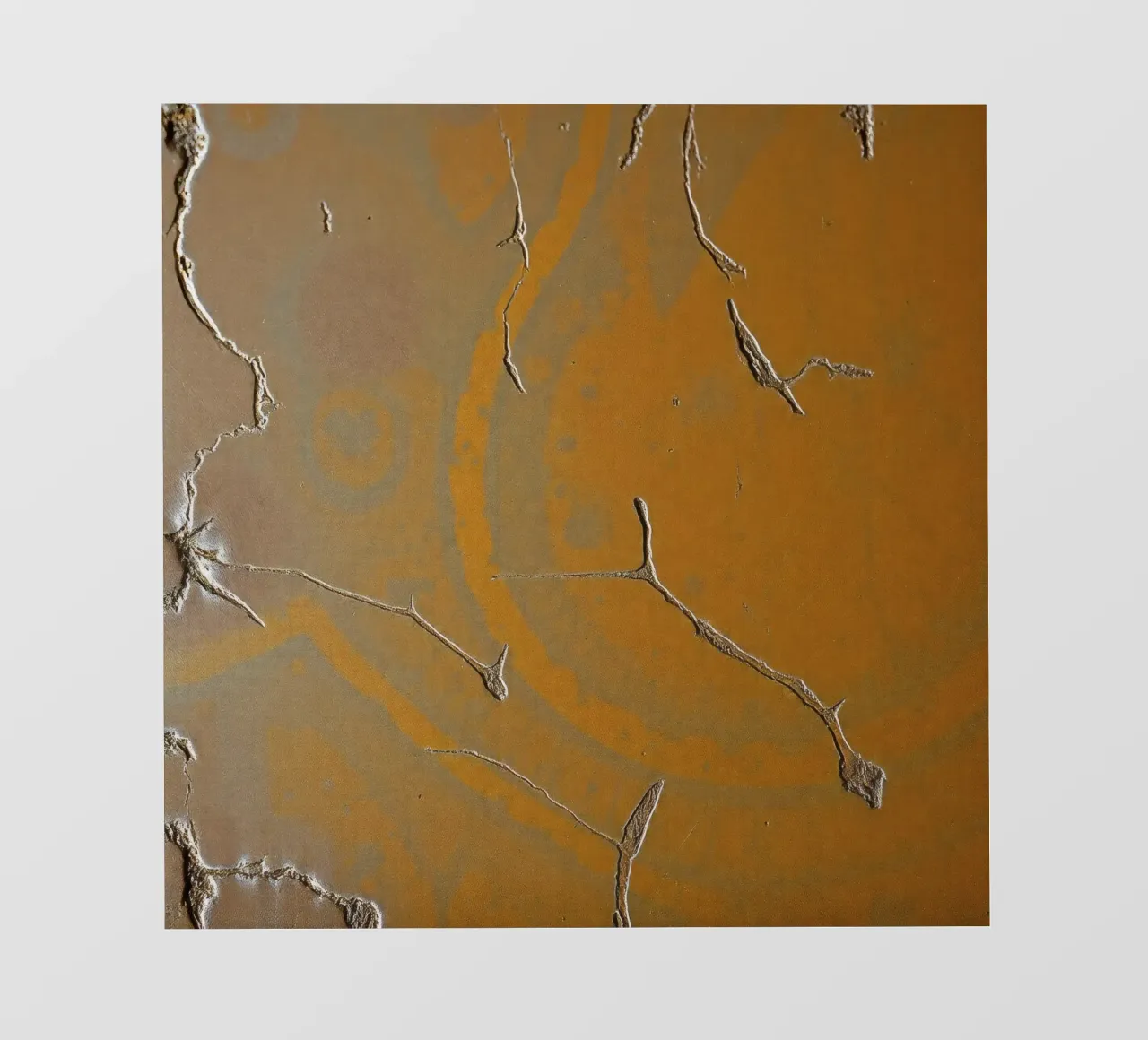 Textured surface shows cracks and patterns in warm tones backlit film by DesignDoodle
