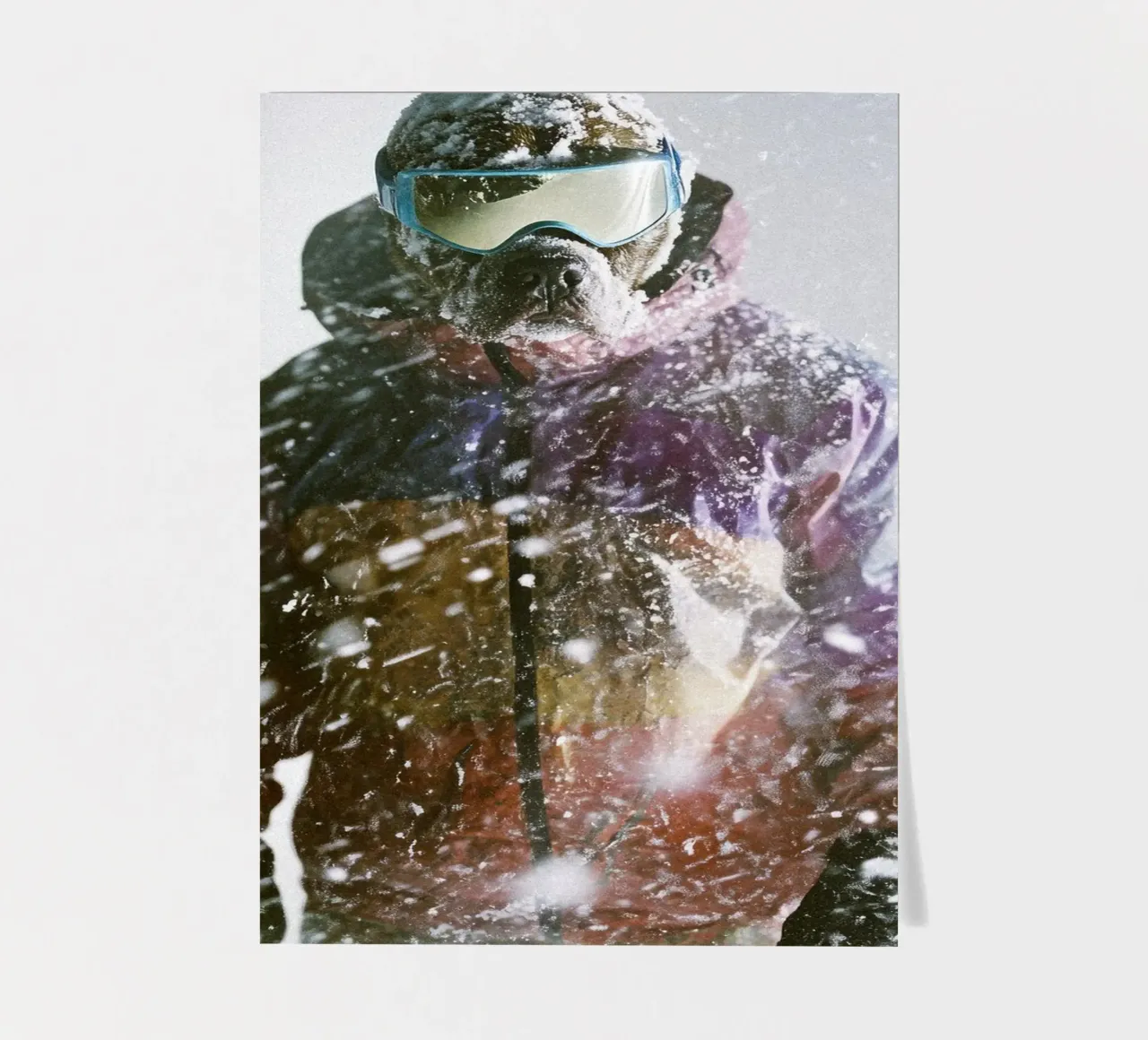 Lars sticker sheet by Affiches Chien Originales – Dogland