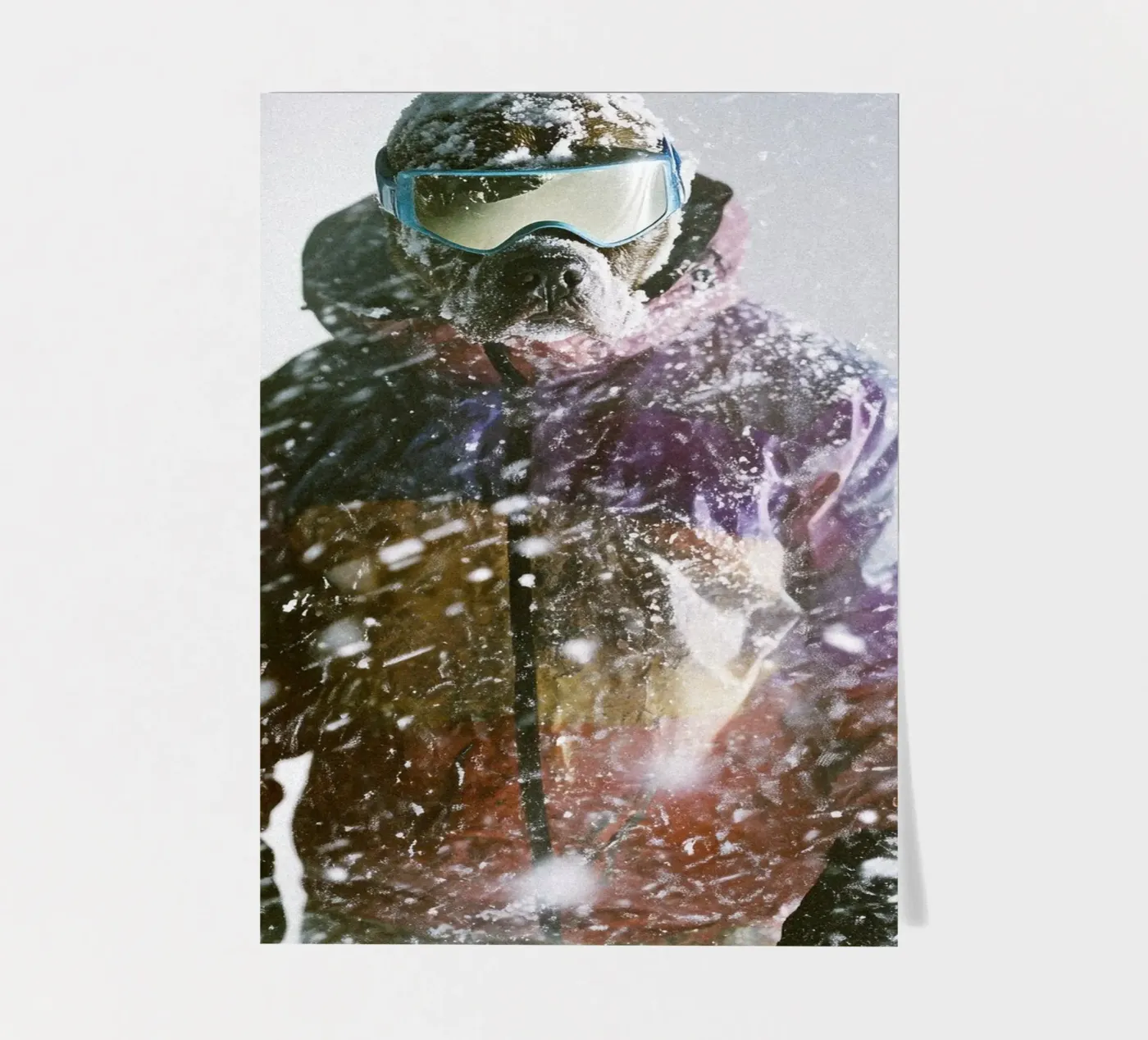 Lars stickervel van Affiches Chien Originales – Dogland