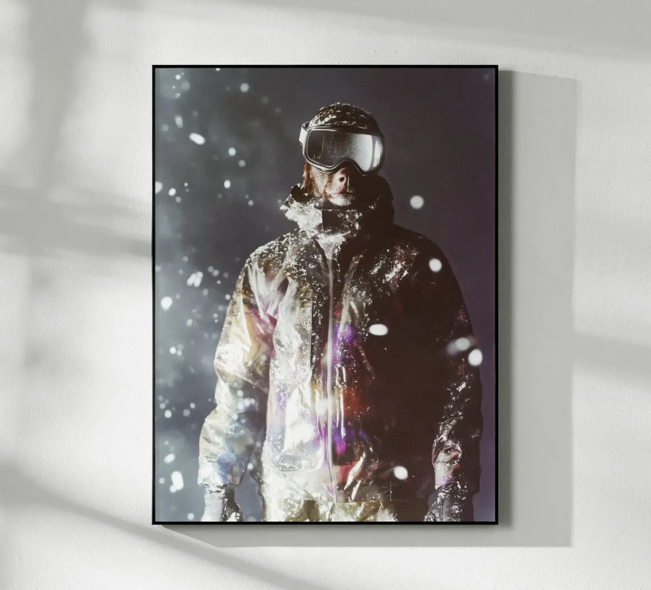 Mika plexiglass da Affiches Chien Originales – Dogland