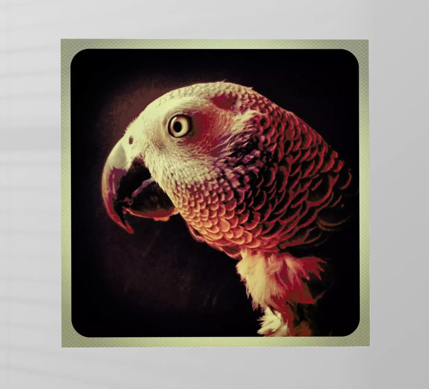 Dicky Gell pellicola backlit da Ballack Art House