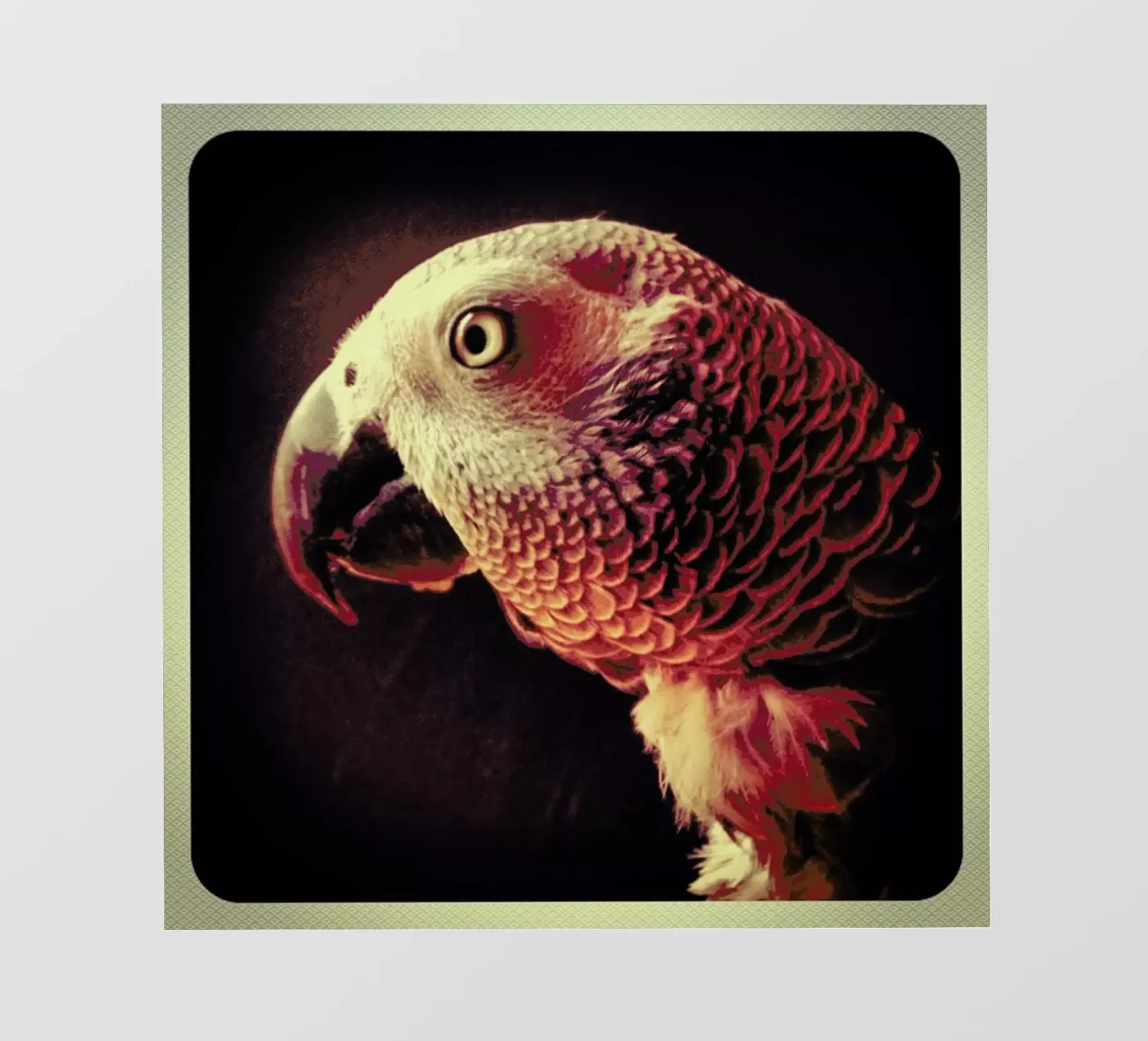 Dicky Gell pellicola backlit da Ballack Art House