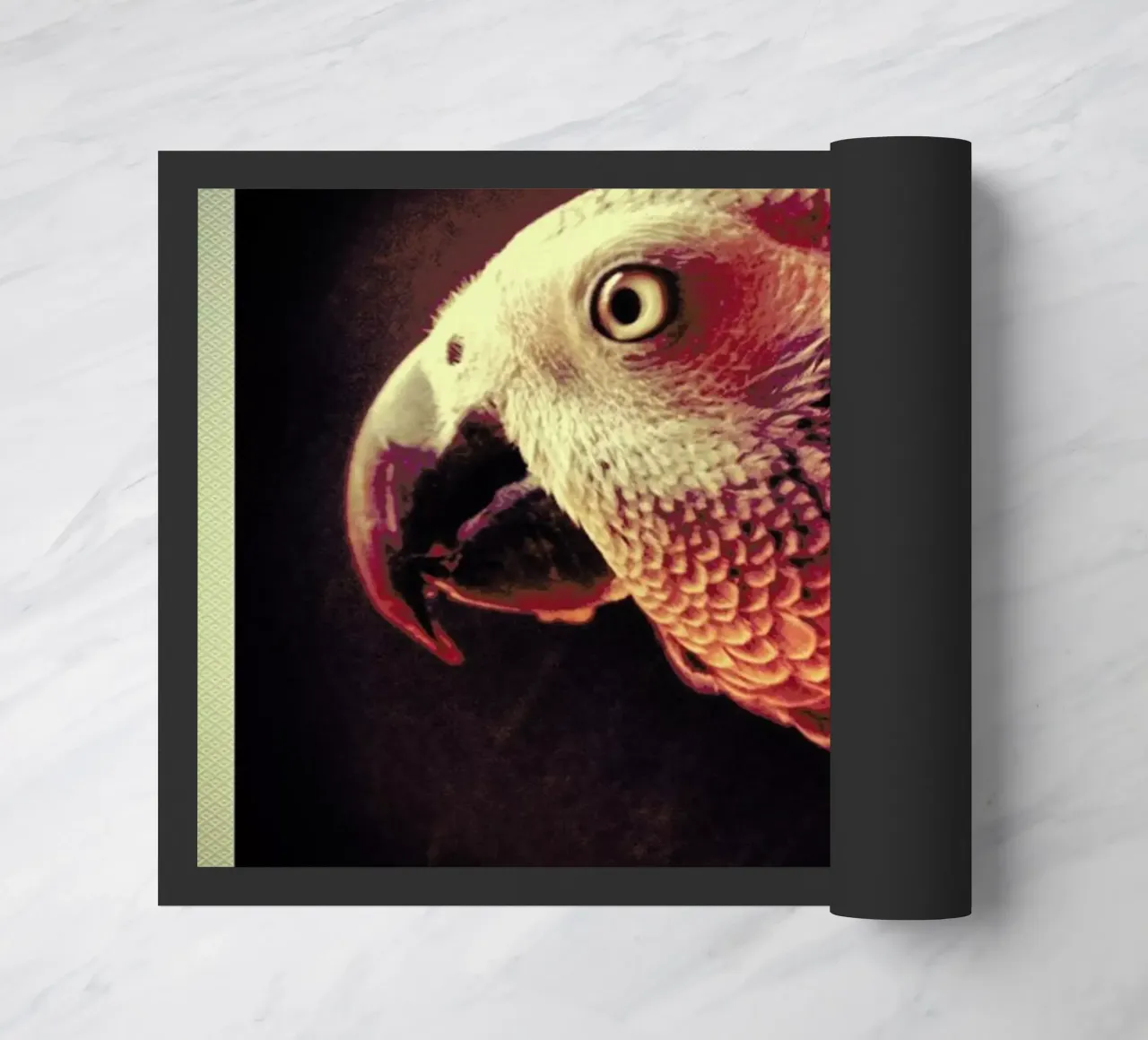 Dicky Gell zerbino da Ballack Art House