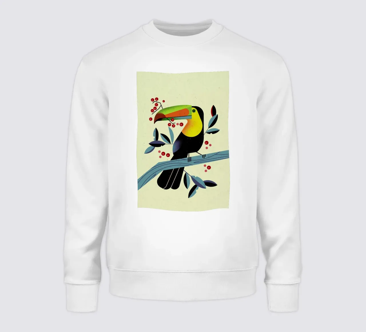 Toucan II sweatshirt by Dieter Braun