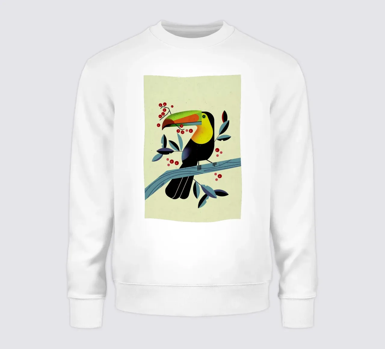 Toucan II sweat de Dieter Braun