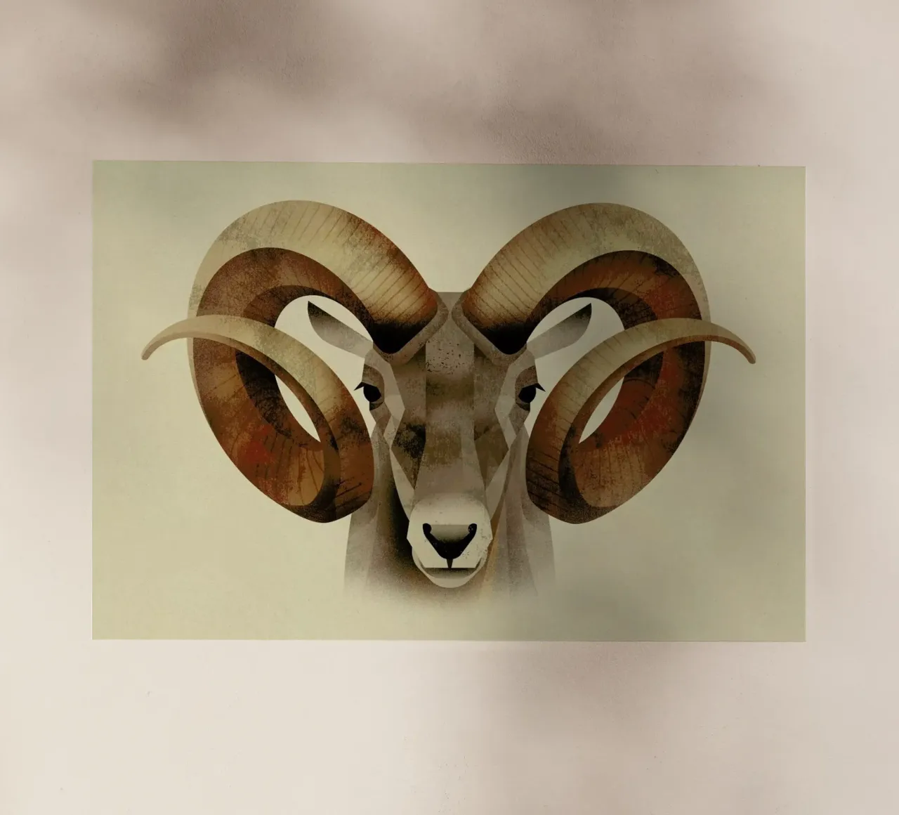 Urial pellicola backlit da Dieter Braun