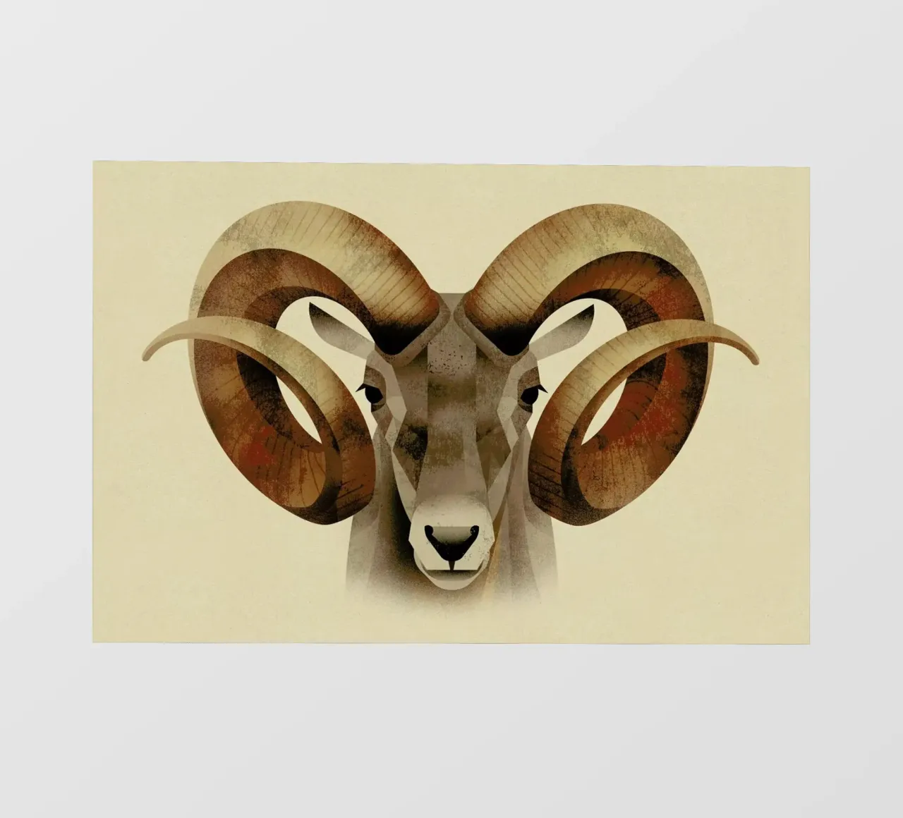 Urial pellicola backlit da Dieter Braun